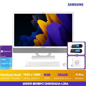 삼성전자 올인원PC DM530ADA-L25A 24인치 사무용 업무용 인강용 가정용 일체형 PC 8GB 256G +한컴2022, USB 64GB ON