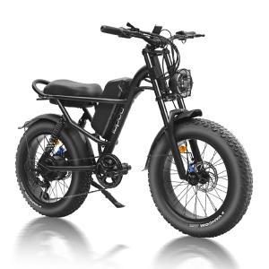 전기자전거 자토바이 넓은 타이어를 갖춘 전기 자전거 산악 전지형 오프로드 가변 속도 스노모빌 남성용 및