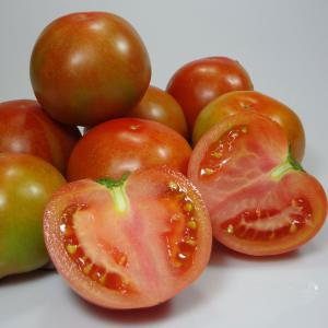 황금열매 전라남도 토마토 10kg 1~2번과