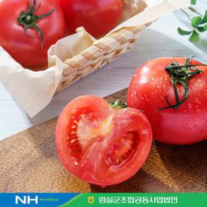 [홍천철원물류센터]임실농협 특등급 완숙 토마토5kg (150g미만)