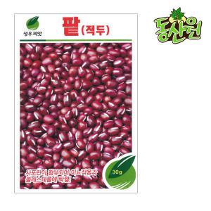 팥씨앗 30g 적두종자 곡물 콩씨앗