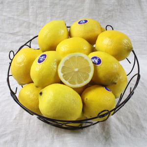 실속못난이_미국 레몬 40입(중과120g 140과)