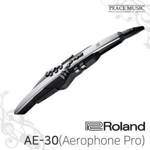 롤랜드 전자 색소폰 Aerophone Pro AE-30 에어로폰 프로 AE30 ROLAND
