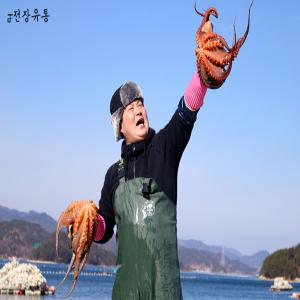 통영 당일조업 자연산 생물 돌문어 1kg (1-3미)