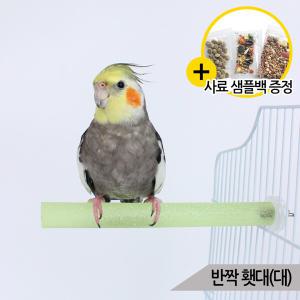 반짝 발톱갈이 횃대(대) 중소형 앵무새 횟대 장난감