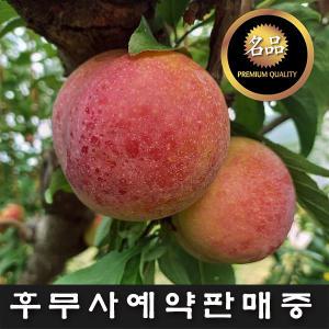 김천자두 후무사  5kg/3kg (베스트/왕특/특/대 ) 산지발송/선물포장