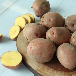 국내산 홍감자 10kg(중/대/특/왕특) 속이노란 자색 카스테라 감자