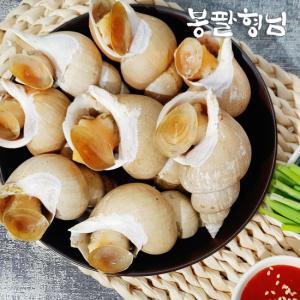 자숙 백고동 소 1kg (35-40미) 국산 백골뱅이