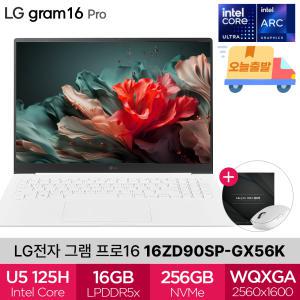 LG 그램 프로 16ZD90SP-GX56K 인텔Ultra5 16GB 256GB Ai 대학생 신학기 노트북