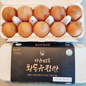 난각번호 1번 무항생제 자연방사 유정란 달걀 계란