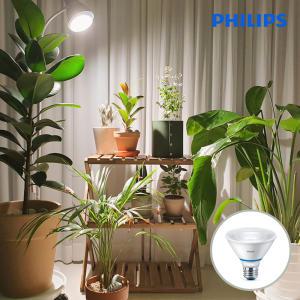 필립스 PAR30 스팟 LED 식물조명 생장등 테라리움 다육이 식물등