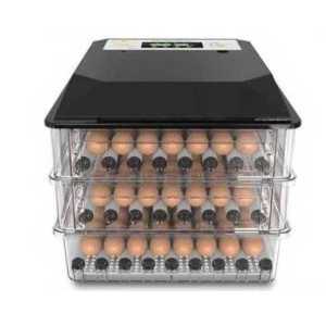 계랸 부화기 기계 육추기 꿩 대용량 달걀 부화장 업소