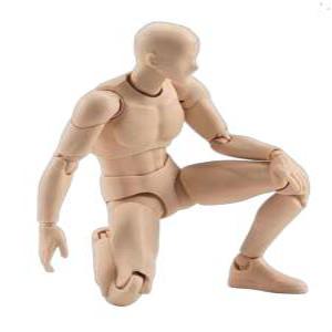 인체 바디 모형 피큐어 드로잉 액션 바디군 교육 모델 미술 과학 스케치 관절 인형 근육