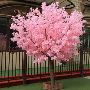 이자카야 인조나무 행사장 스튜디오 모형 벚꽃 나무
