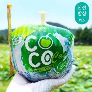 [품질보장] 먹기 편한 이지캡 코코넛 Bulk 9kg(9과)대용량
