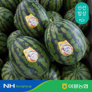 [진천이월농협] 유명산지 진천 숯채화 수박 8-9kg  9-10kg 당도선별