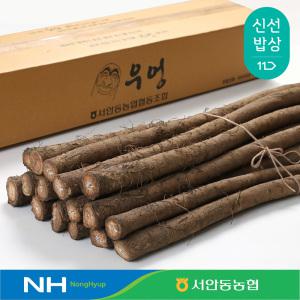 [서안동농협] 국산 햇 우엉 2kg 특품 상품 중품 알뜰