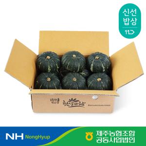 [제주농협] 햇 미니단호박 3kg 5kg 7kg 특품 농협선별
