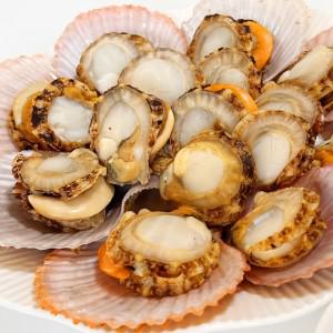 쫄깃한 통영 비단가리비 1kg 가리비 찜 탕 해산물 술안주
