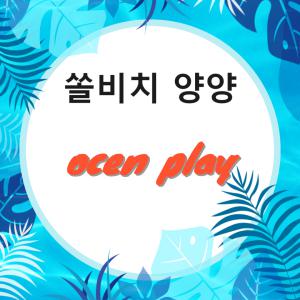 [당일가능]쏠비치 양양 오션플레이 종일권 대인 소인 입장권