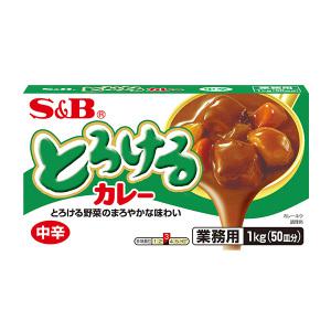 에스앤비 토로케루 카레 중간매운맛 1kg (50인분) 일본 업소용 대용량