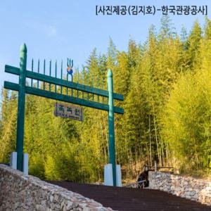 KTX-당일대나무 명소 담양(죽녹원/가로수길/소쇄원) 즐기기