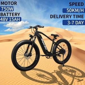 Ebike 배터리 충격 흡수 산악 전기 자전거 성인용 스노우 팻 타이어 전기 자전거 750W 강력한 모터 48V 15A