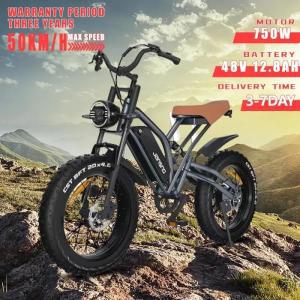 레트로 산악 오토바이 전기 자전거 성인용 스노우 20 인치 팻 타이어 전기 자전거 EU 주식 750W 모터 48V 1