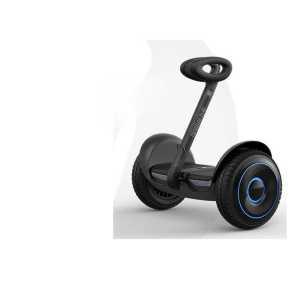 전동 성인 두발 밸런스 휠 제품 보드 제어 균형 라이딩