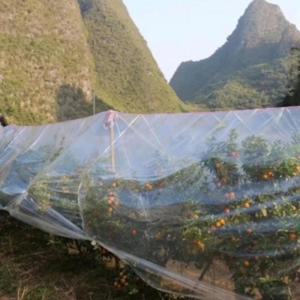농업용하우스비닐 텃밭 농사용 비닐 하우스 두꺼운 농막 농업용 투명 커버 덮개 자재