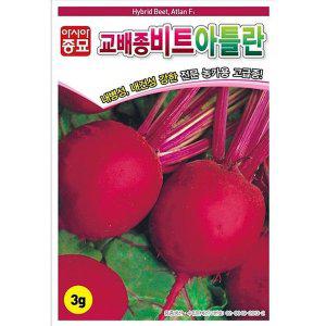 [아시아종묘] 비트씨앗종자 교배종비트 아틀란(5000립)