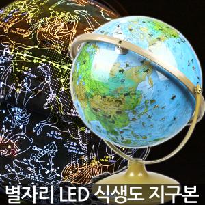 LED 별자리 식생 지구본(320-OWS) / 수면등 세계지도