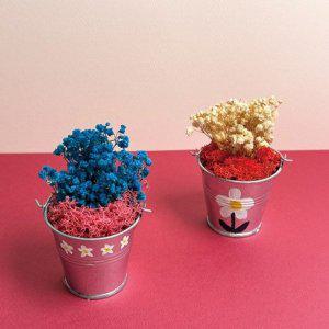 [신세계몰]프리저브드 안개꽃 양동이 화분 만들기 DIY 키트