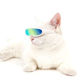 [오너클랜]데일리펫용품 퓨쳐 선글라스 안경