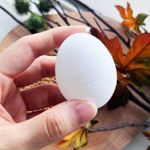 모형계란 가짜알 흰색 부활절 미술 의란 모형달걀 모형란 조류알