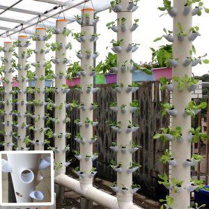 식물재배기 수경재배기 수경재배화분 가정용 상추 키트 수경 재배 시스템 토양 없는 장비 DIY 정원 10 개