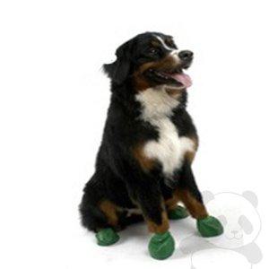 [신세계몰]포우즈 천연라텍스 신발 12개입 XL 댕댕슈즈 반려견신발 강아지장화