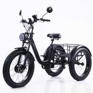 성인용 전기 자전거 세발 안전한 삼륜 광폭 타이어