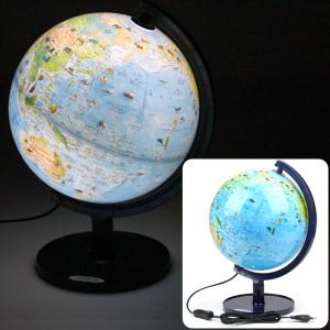 학습용 LED 지구본(260-EL7) / 수면등 세계지도 과학