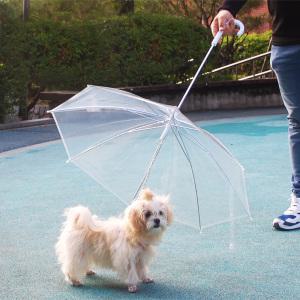 강아지 투명 산책우산 중소형견용
