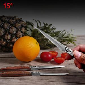 조각칼 PLYS-품질 요리사 조각 칼 세트 음식 및 야채 날카로운 작은 주방
