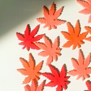 얇은 단풍잎 나뭇잎 잎사귀 모형 6구 실리콘 캔들 비누 데코 레진 몰드 틀