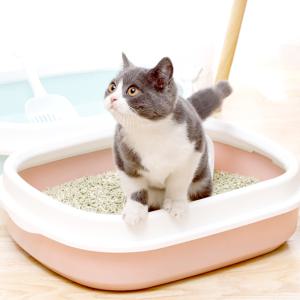 애구애구 고양이 모래삽/모래매트/화장실/후드형/평판형 모음