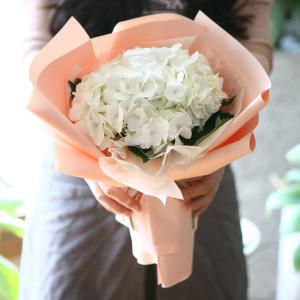 화이트수국 꽃다발 생화택배 꽃정기구독 꽃배달 서비스 여자친구 와이프 생일 결혼기념일 100일 1주년 선물