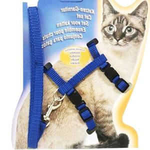 고양이전용 하네스 가슴줄 목줄 산책줄 소형 밸크로 길이조절 (블루)