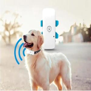 4G 애완 동물 GPS 추적기 실시간 개 고양이 찾기, TKSTAR LTE GSM 로케이터 크롤러 지오 펜스  앱