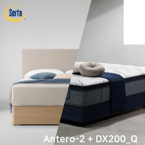 [썰타 코리아] ANTERO2 DX200(SS) / 침대 SET