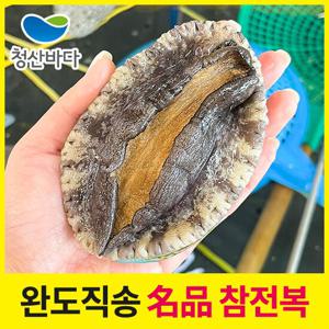 [청산바다] 완도직송 활전복 특대 7-8미 1.5kg(11-12마리)
