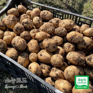 소농로드 무농약 제주 감자 10kg (제주산 실중량)