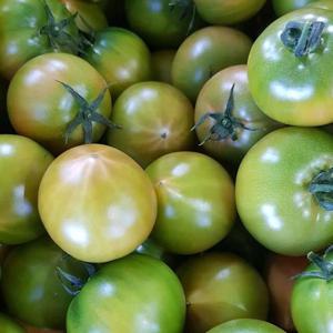 부산 대저 짭짤이 토마토 2.5kg (소과)